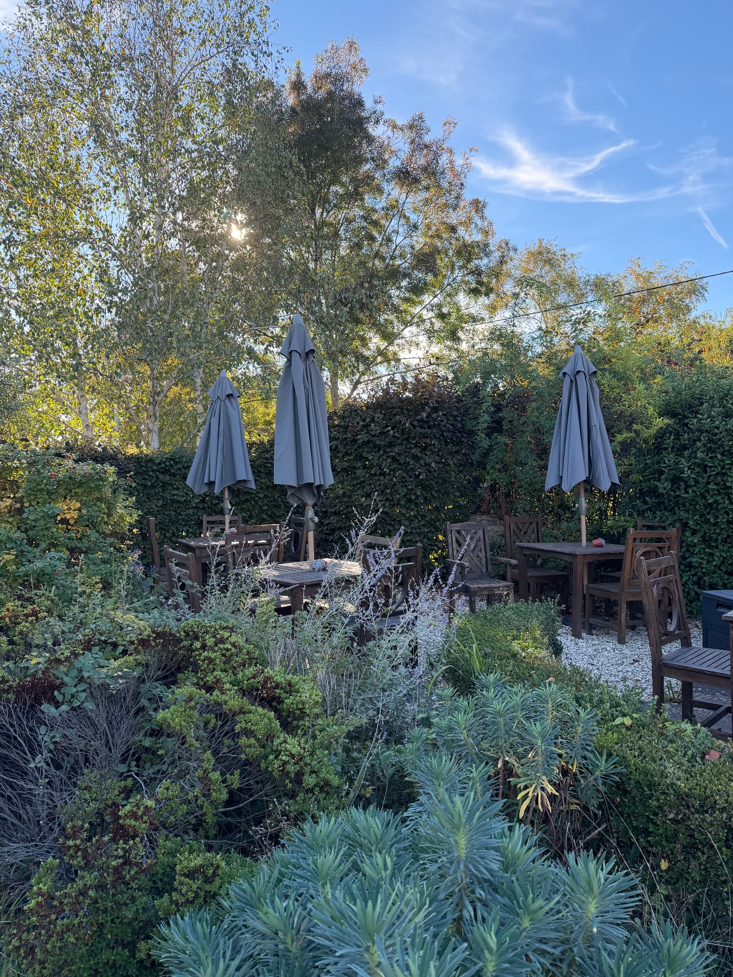 The Mole Inn's garden terrace — gravel patio, wooden tables and parasols among hedges and tall trees