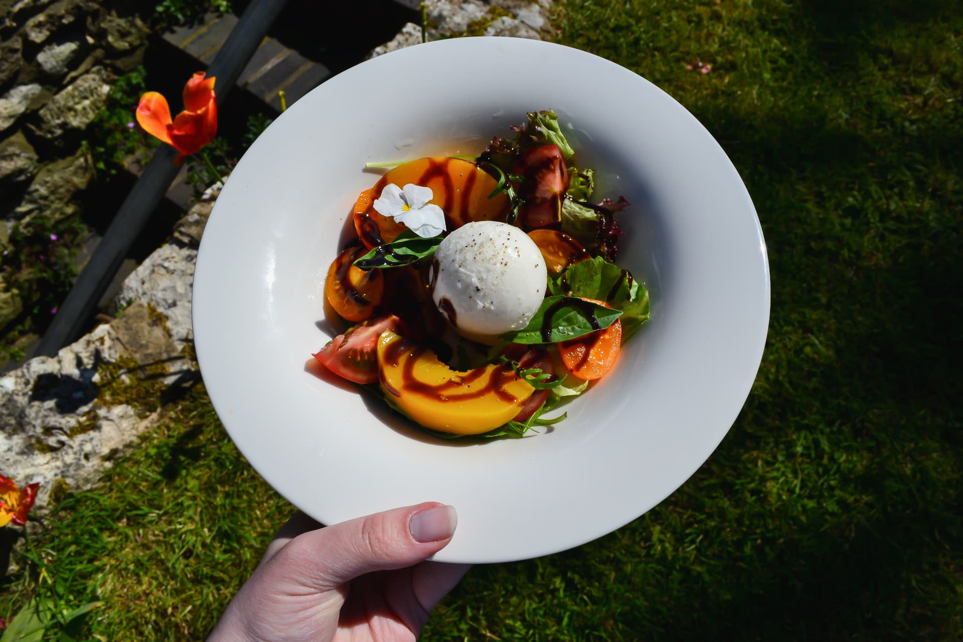 Tomato and burrata dish served in the garden
